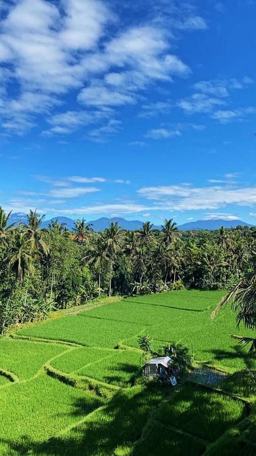 Nirwa Ubud Karma Exterior foto